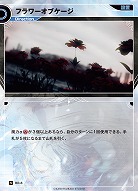 フラワーオブケージ(追奏再録) 【KT/BD/8N】